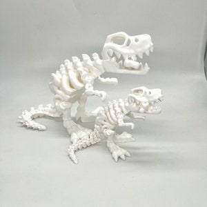 May include: Two white plastic dinosaur skeletons, one larger than the other, posed in a playful manner. The larger dinosaur is standing on its hind legs with its tail curled around the smaller dinosaur's body. The smaller dinosaur is standing on all fours with its head tilted to the side.