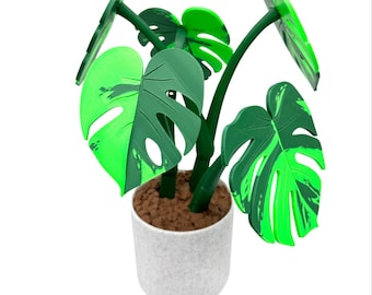 Coasterra- Monstera Plant Coaster Set