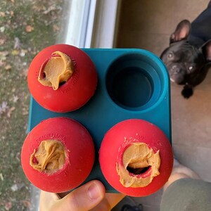 Dog Treat Freezer Tray: Toy Filling & Freezing Holder image 4