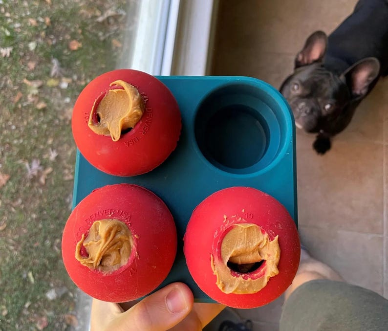 Dog Treat Freezer Tray: Toy Filling & Freezing Holder image 4