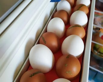 Refrigerator Door Egg Holder - Space-Saving Egg Storage Tray - Fits 8 Eggs