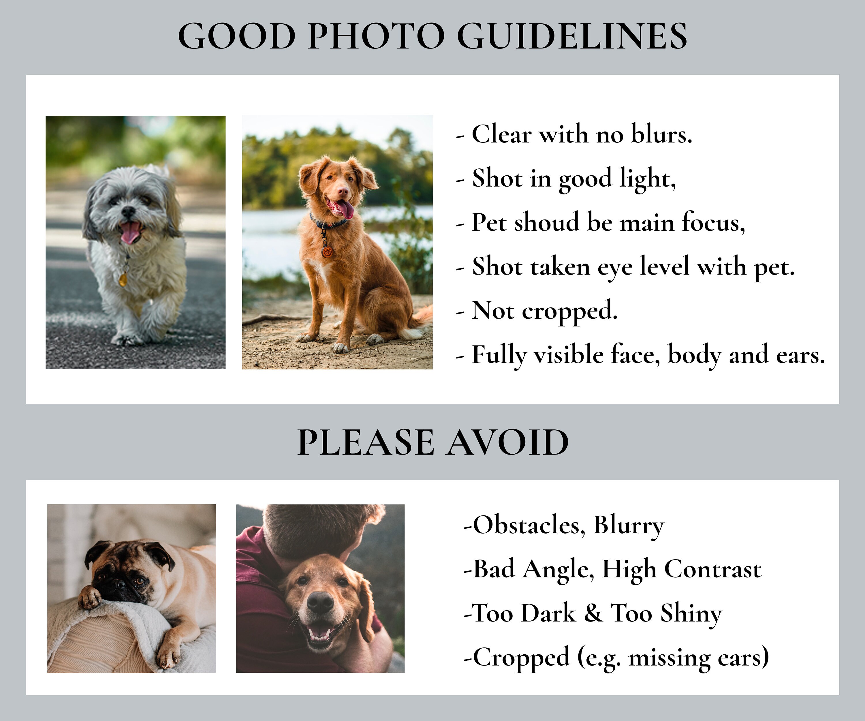 Custom Royal Pet Portrait Renaissance Dog Painting From Etsy