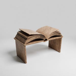 May include: A distinctive open book sculpture with a wood-grain texture. The book is supported by two rectangular legs, forming a small table. The pages are spread, and the design is minimalist and artistic, with a natural aesthetic.
