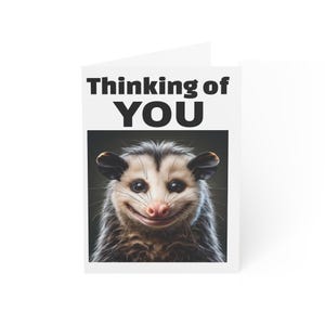 Tarjetas de felicitación: Juego de tarjetas divertidas "Zarigüeya pensando en ti" - Paquete de 10 piezas, papelería linda para amantes de los animales, tarjetas de notas en blanco hechas a mano,