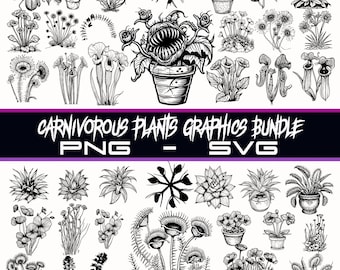 Carnivorous Plants Graphics Bundle, PNG and SVG Files, Instant Download, Laser Engravable Files, Over 100 Different Carnivorous Plant Images