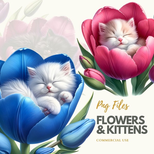 Kätzchen und Blumen Clipart Bundle, Aquarell Kätzchen Graphik, Kommerzielle Nutzung, Kätzchen png