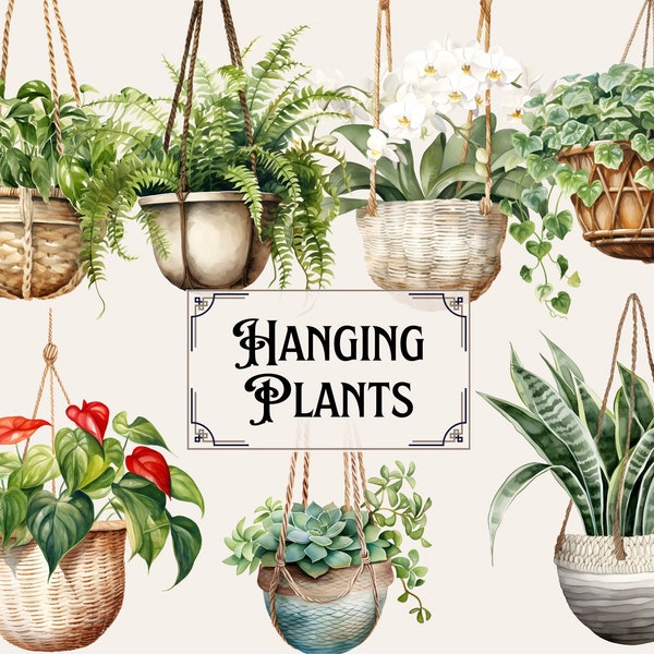 72 Watercolor Hanging Plants Clipart - house plant, indoor plant, plant decor, plant lovers, commercial use, instant download, potted plants