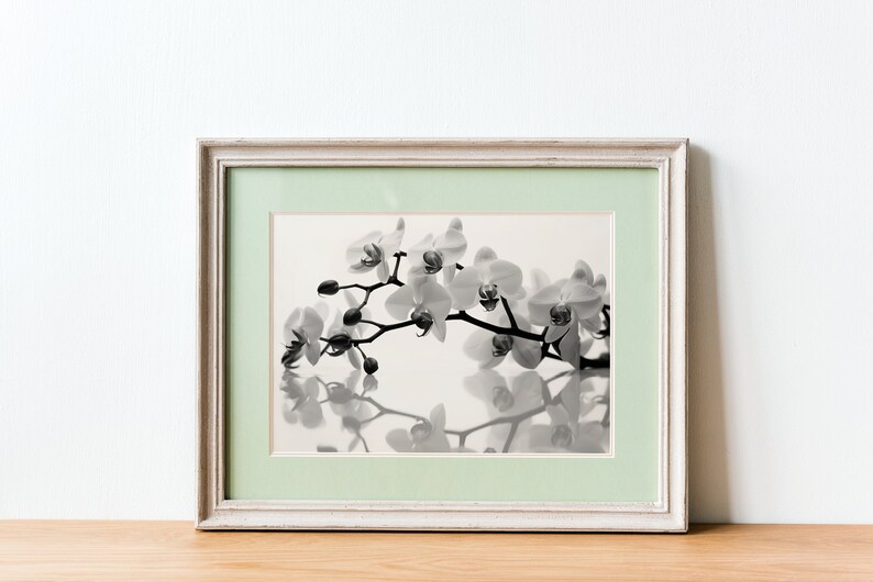 Black and White Orchid Print, Flower Art, Flower Wall Art, Wall Art