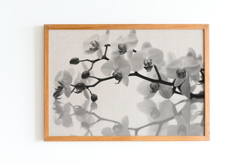 Black and White Orchid Print, Flower Art, Flower Wall Art, Wall Art