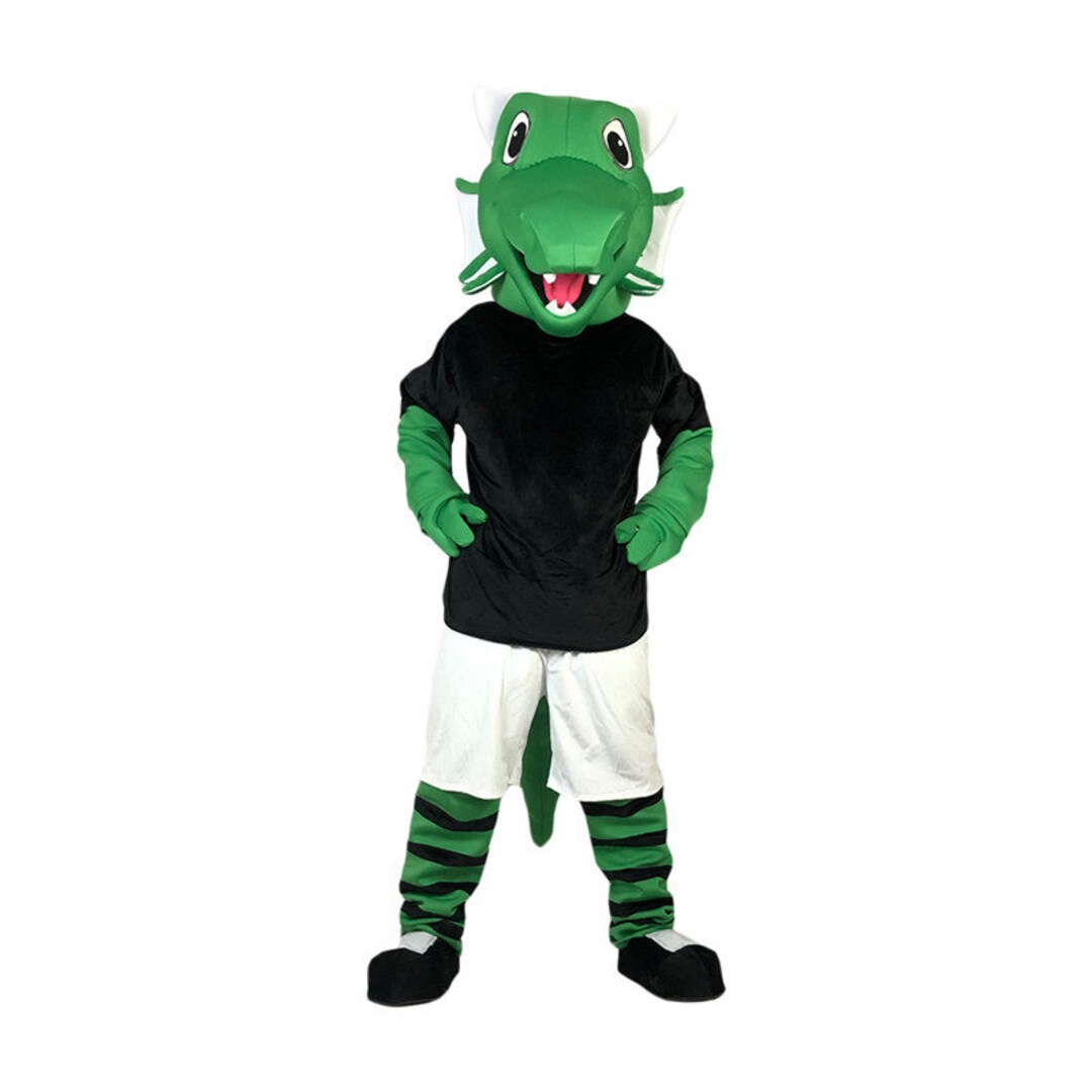 Crocodile Costume Kids Green
