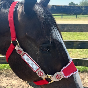 Klassy Cowgirl Argentina Cow Leather Louis Vuitton Headstall & Breast  Collar Set - Carolina Tack Supply Inc