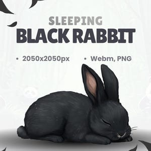 VTUBER PET Black Rabbit - Black - Animated pet - Twitch Rabbit stream pet - Cute sleeping Rabbit - Obs - HD Loop - Stream decoration