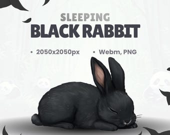 Animated Black Rabbit Pet - Twitch Stream Decoration (Webm, PNG)