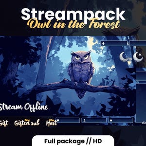 May include: A blue and purple owl perched on a branch in a dark forest. The text "Streampack Owl in the Forest" is at the top of the image. The text "Stream Offline" is at the bottom of the image. The image is a digital illustration.