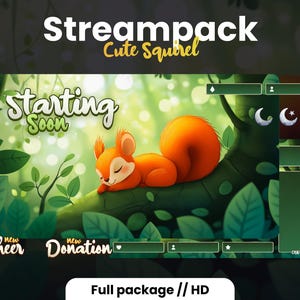 STREAMPACK - Cute Squirel - 1920x1080px - Animated stream package - Overlays, Scenes, Badges and more! Instant download
