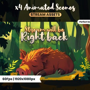Peut inclure: Scène animée de diffusion en continu avec un sanglier endormi dans un décor de forêt. Le texte "Stream will be Right back" est affiché sur un fond vert. La scène est en 60 images par seconde et en 1920x1080 pixels.