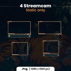 Puede incluir: Cuatro marcos de streamcam est&aacute;ticos con un borde dorado y un dise&ntilde;o floral. Los marcos est&aacute;n colocados sobre un fondo oscuro con un tigre durmiendo en el centro.