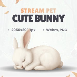 STREAM PET - White Bunny - Animated - Perfect Loop - Hd Files (2050x2050px) - Transparent background