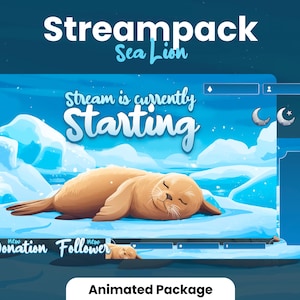Stream package - Cute Sea Lion | Animated stream package | 1920x1080px | Overlays, Badges, Alerts, Scenes and more! Instant download