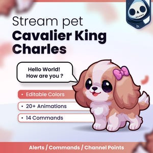 Può includere: Un'immagine digitale di un animale domestico per streaming Cavalier King Charles con un fiocco rosa, con il testo Stream pet Cavalier King Charles, Hello World! How are you?, Editable Colors, 20+ Animations, 14 Commands e Alerts / Commands / Channel Points.