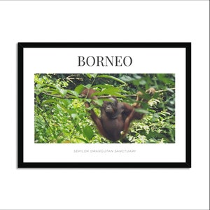 Sepilok Orangutan Sanctuary Borneo Travel Postal Letra pequeña