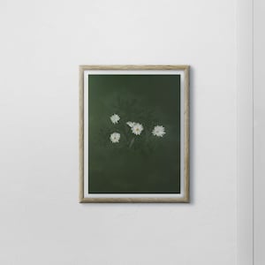 Daisy Floral Art Print Daisy Digital Illustration