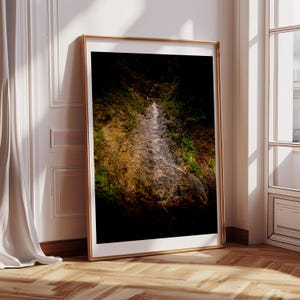 Quiet Waterfall Creek Moss and Rocks in the Alps Germany Print/Canvas/Acrylic/Aluminum Metal