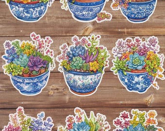 Succulents Vinyl Die Cut Sticker Set | Funny Sticker | Laptop Sticker | Water Bottle Sticker | Notebook Sticker