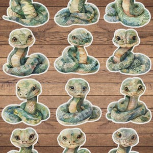 Cute Watercolor Snake Vinyl Die Cut Sticker Set Funny Sticker Laptop Sticker Water Bottle Sticker Notebook Sticker