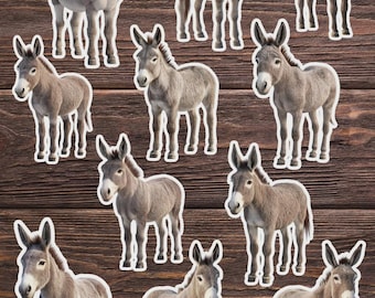 Donkey Vinyl Sticker Set | Cute Animal Stickers, Water Bottle Decals