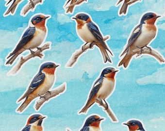 Barn Swallow Bird Vinyl Die Cut Sticker Set | Funny Sticker | Laptop Sticker | Water Bottle Sticker | Notebook Sticker