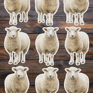 Sheep Vinyl Die Cut Sticker Set | Funny Sticker | Laptop Sticker | Water Bottle Sticker | Notebook Sticker