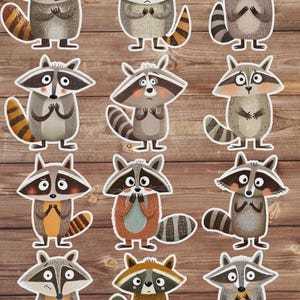 Cartoon Raccoon Die Cut Sticker Set | Funny Sticker | Laptop Sticker | Water Bottle Sticker | Notebook Sticker
