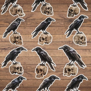 Raven on Skull Die Cut Sticker Set | Funny Sticker | Laptop Sticker | Water Bottle Sticker | Notebook Sticker