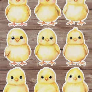 Baby Chick Vinyl Die Cut Sticker Set | Funny Sticker | Laptop Sticker | Water Bottle Sticker | Notebook Sticker