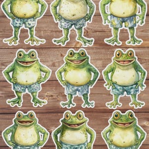 Frog in Trunks Vinyl Die Cut Sticker Set | Funny Sticker | Laptop Sticker | Water Bottle Sticker | Notebook Sticker