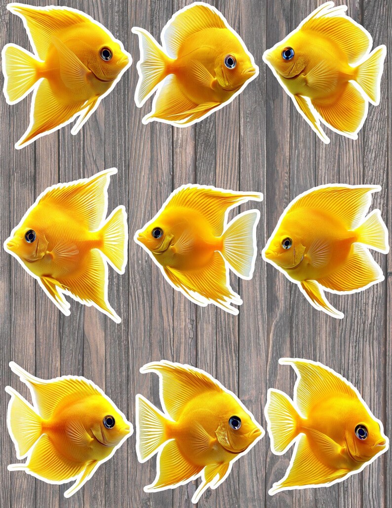 Fish Fin Sticker Yellow Tang Fish Die Cut Vinyl Sticker Set – for Notebook, Laptop ...