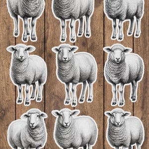 Black and White Sheep Die Cut Sticker Set | Funny Sticker | Laptop Sticker | Water Bottle Sticker | Notebook Sticker