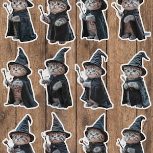 May include: A collection of twelve stickers featuring a kitten dressed as a wizard. Each kitten wears a black wizard hat and cape, holding a wand. The kittens have gray and white fur, set against a wooden background.