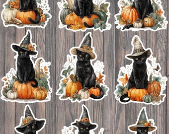 Halloween Black Cat Witch Stickers | Pumpkin Patch Vinyl Decals (Set of 9)