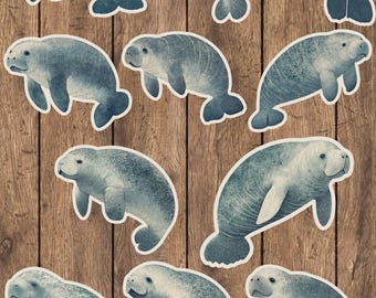 Manatee Die Cut Vinyl Sticker Set – For Notebook, Laptop, Water Bottle & Scrapbooking