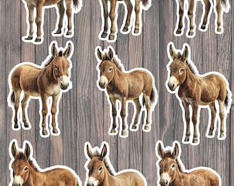 Donkey Die Cut Vinyl Sticker Set – For Notebook, Laptop, Water Bottle & Scrapbooking