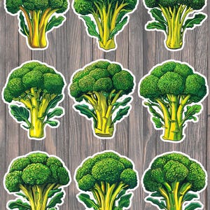 May include: Nine stickers featuring illustrations of broccoli florets. Each sticker shows a detailed depiction of the green vegetable with yellow stalks and green leaves. The stickers are set against a wooden background.