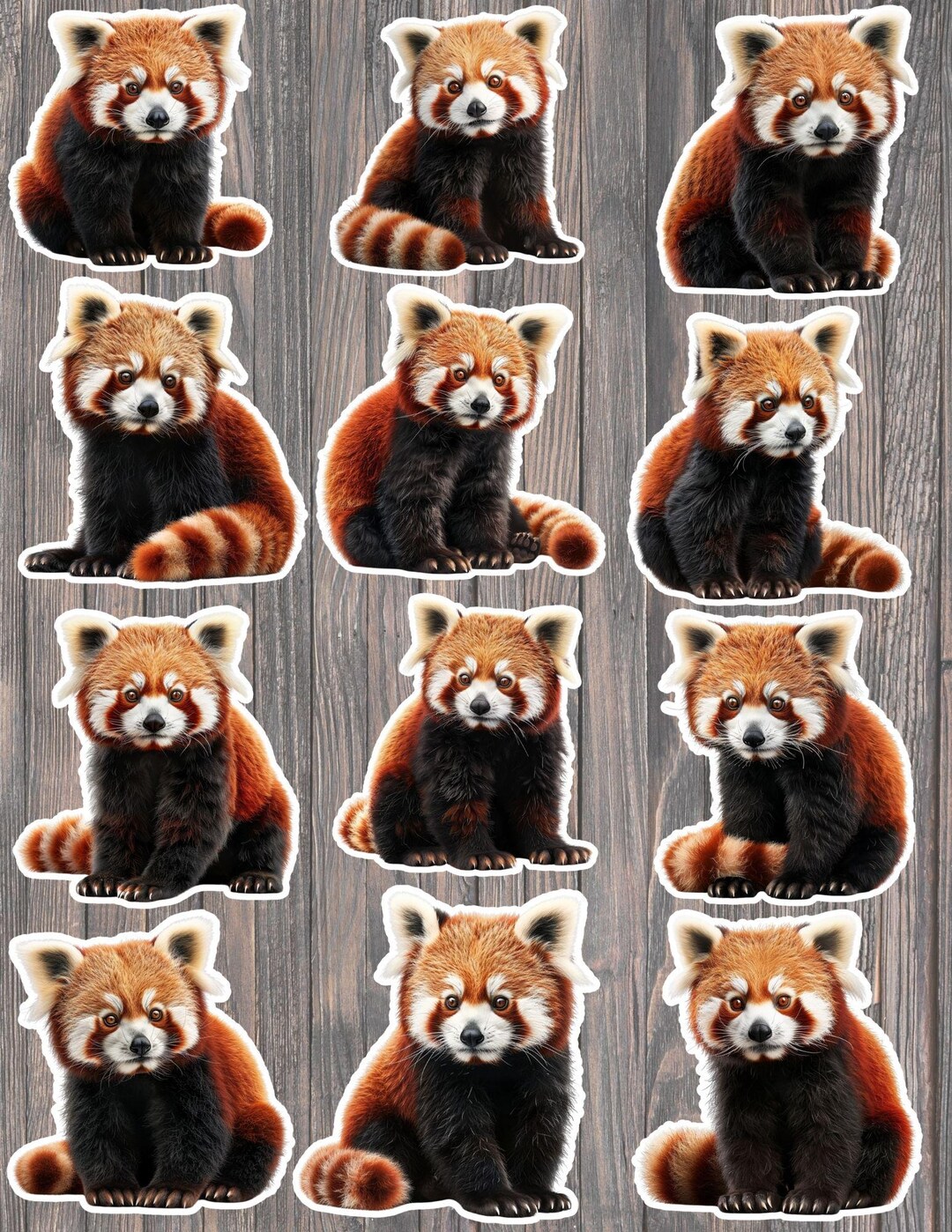 Red Panda Die Cut Vinyl Sticker Set – for Notebook, Laptop, Water ...