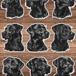 May include: Nine black Labrador Retriever stickers with detailed illustrations of the dog's head and shoulders. The stickers have a white border and are arranged on a wooden background. The dogs have brown eyes and are facing different directions.