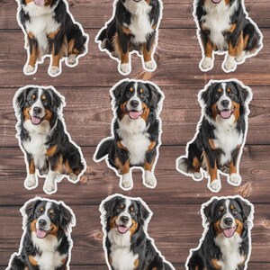 Dog Vinyl Die Cut Sticker Set | Funny Sticker | Laptop Sticker | Water Bottle Sticker | Notebook Sticker