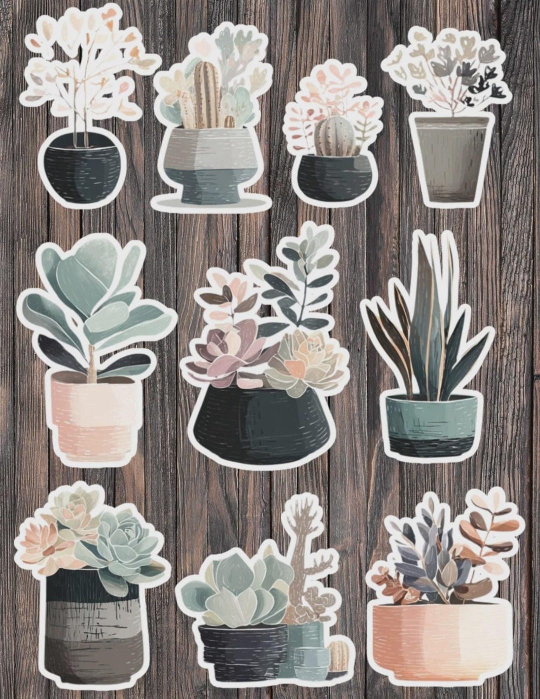 Succulents Die Cut Vinyl Sticker Set – for Notebook, Laptop, Water ...
