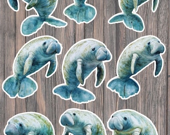 Manatee and Baby Die Cut Vinyl Sticker Set – For Notebook, Laptop, Water Bottle & Scrapbooking