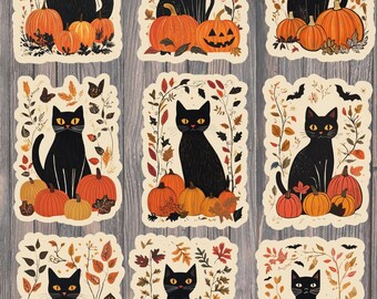 Black Cat and Pumkins Die Cut Sticker Set | Funny Sticker | Laptop Sticker | Water Bottle Sticker | Notebook Sticker