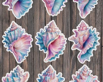 Pastel Sea Shell Die Cut Vinyl Sticker Set – For Notebook, Laptop, Water Bottle & Scrapbooking